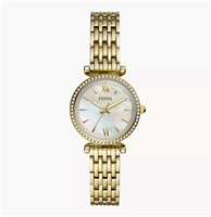 Montre Fossil Femme Carlie Mini in Acier ES4735